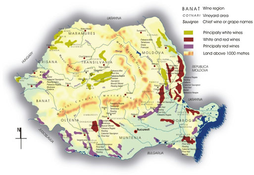 wines map